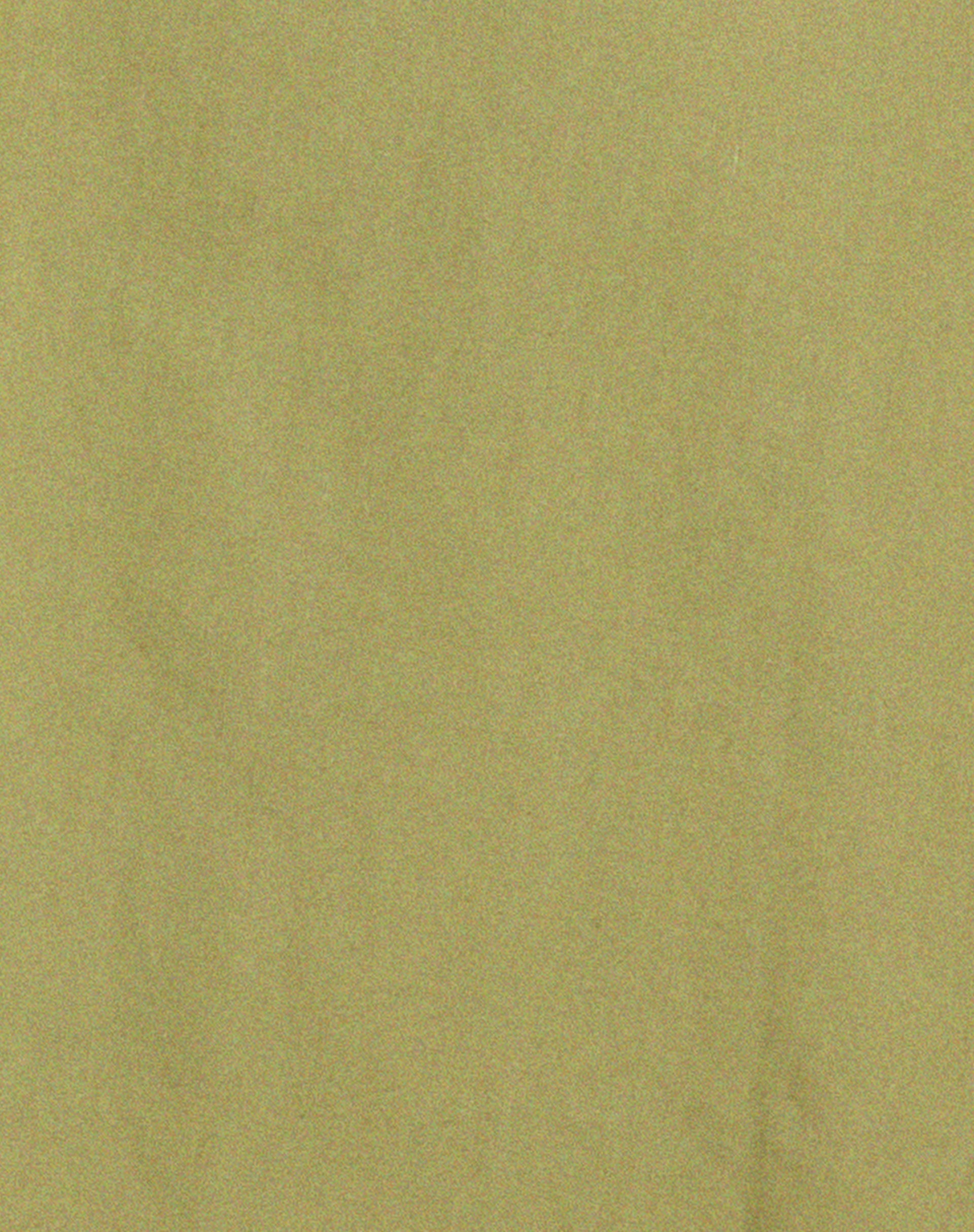 Gane Shirt in Seafoam Green