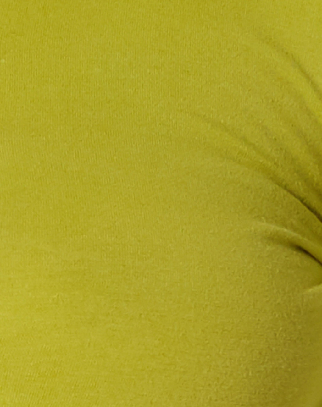 Gisy Crop Top in Lycra Lime