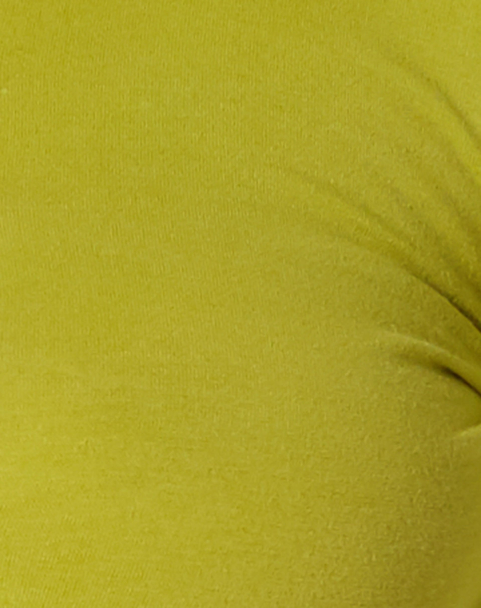 Gisy Crop Top in Lycra Lime
