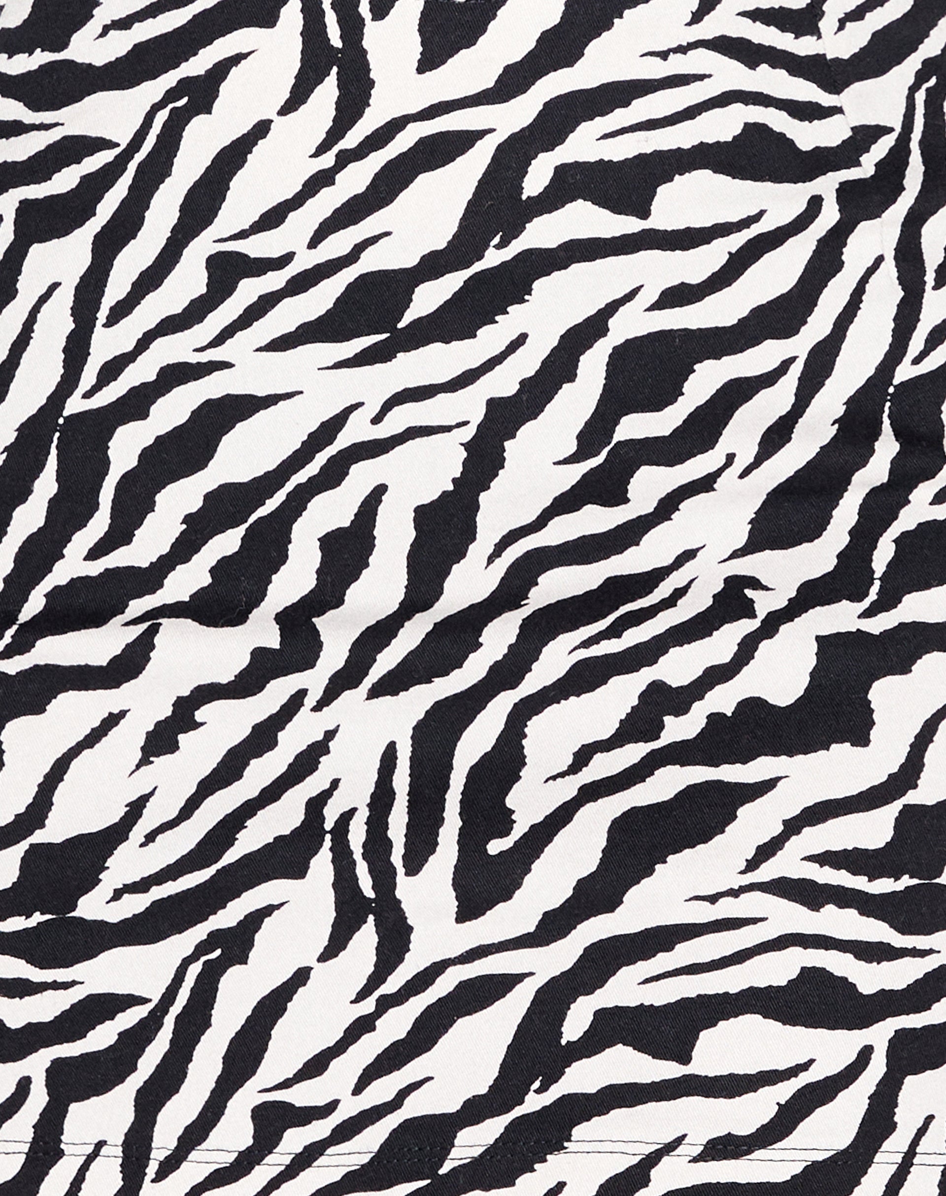 Ruix Long Sleeve Top in 90's Zebra