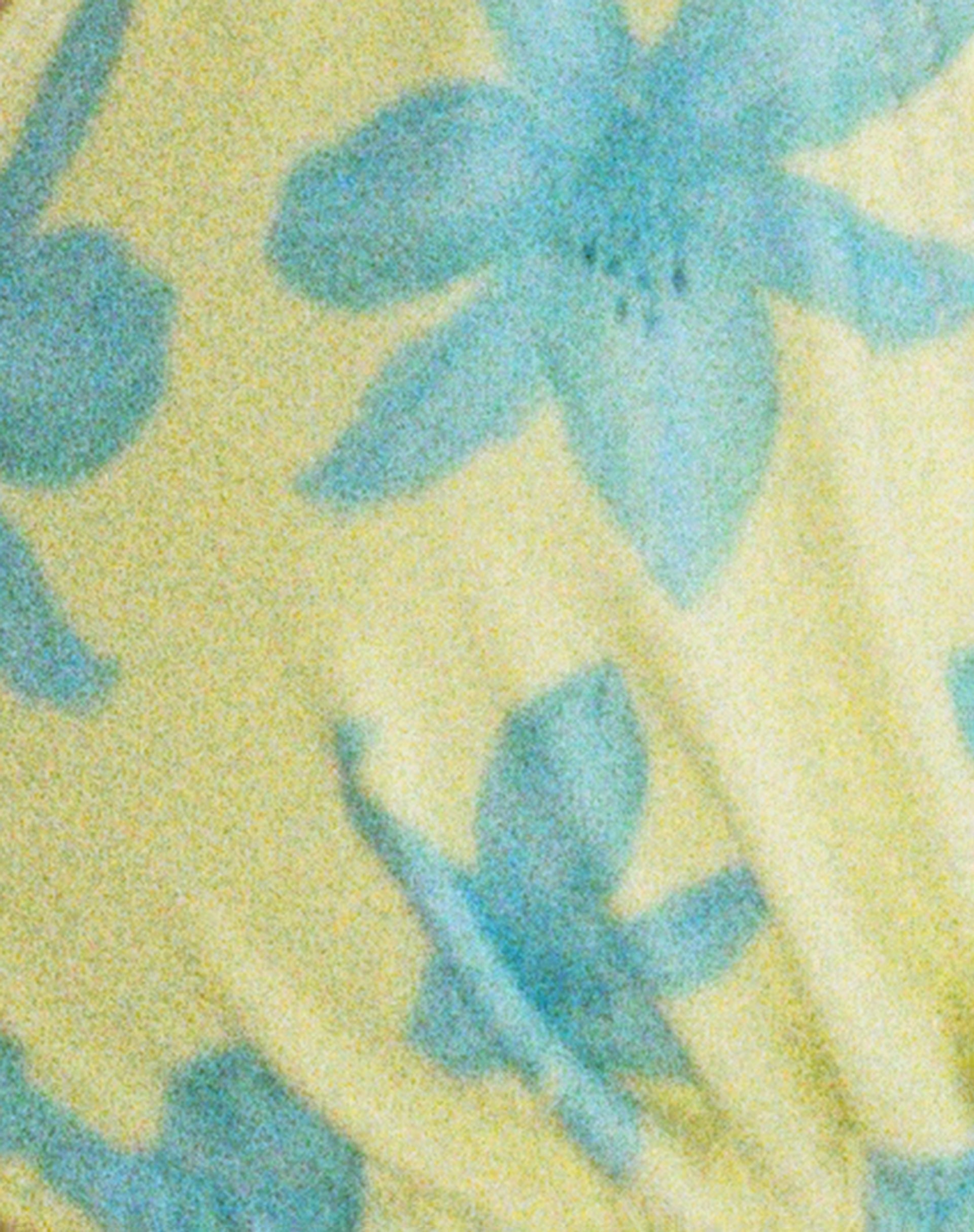 Pamita Bikini Top in Yellow Painted Flower
