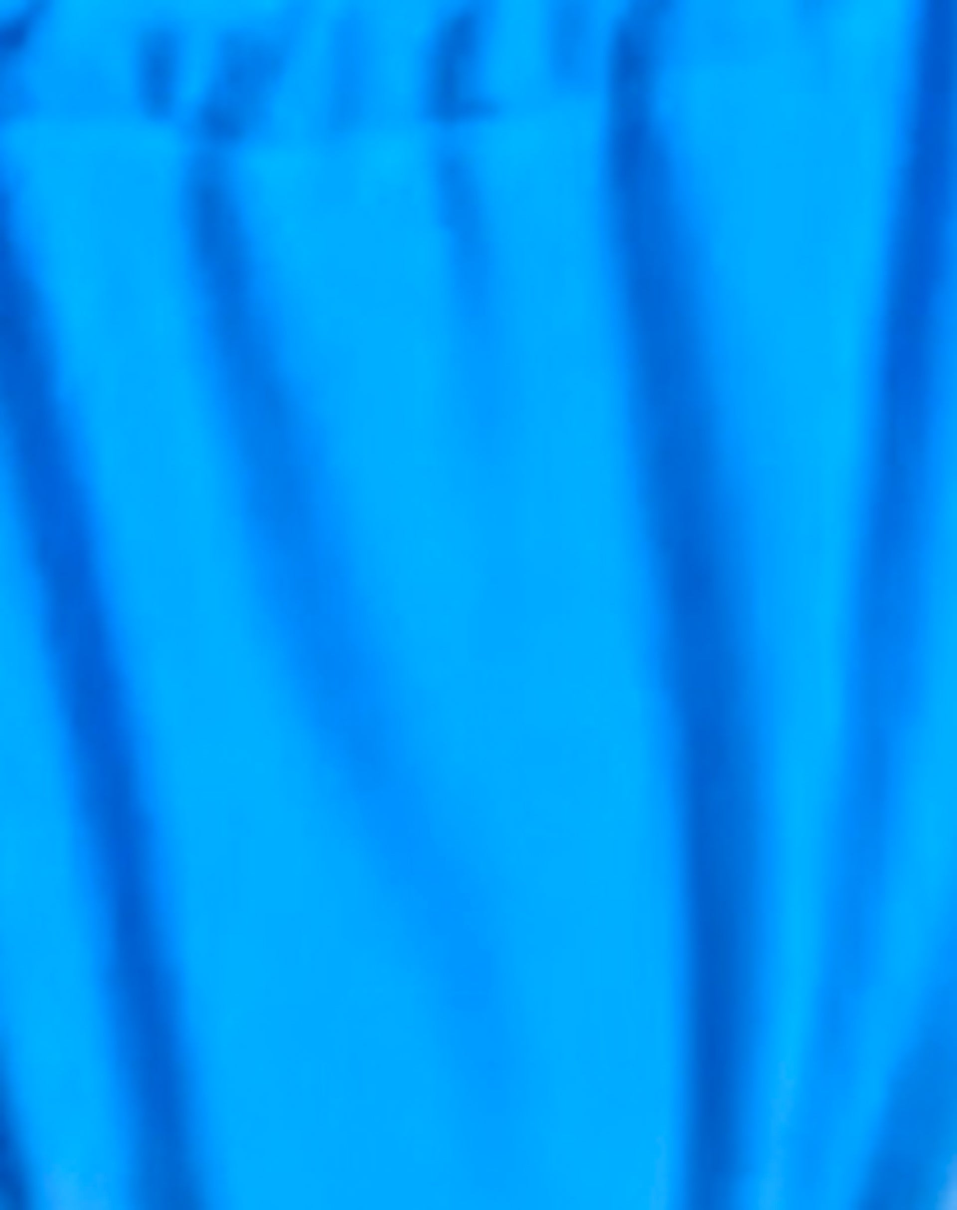 Leyna Bikini Bottom in Dark Blue