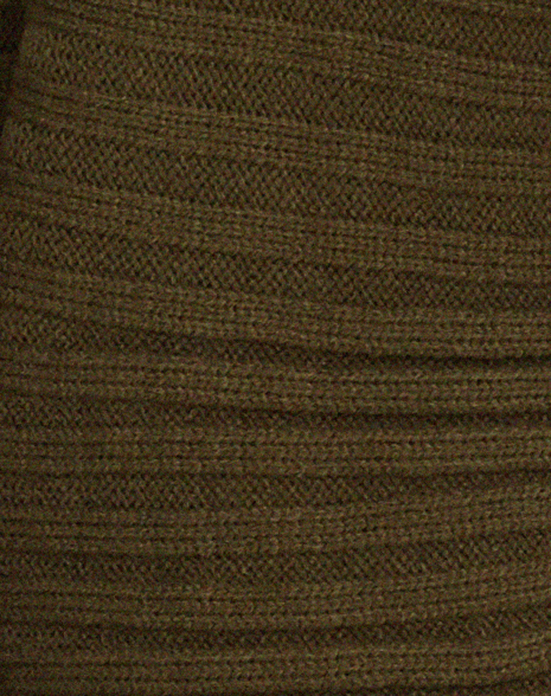 Penelope Cardi in Deep Olive