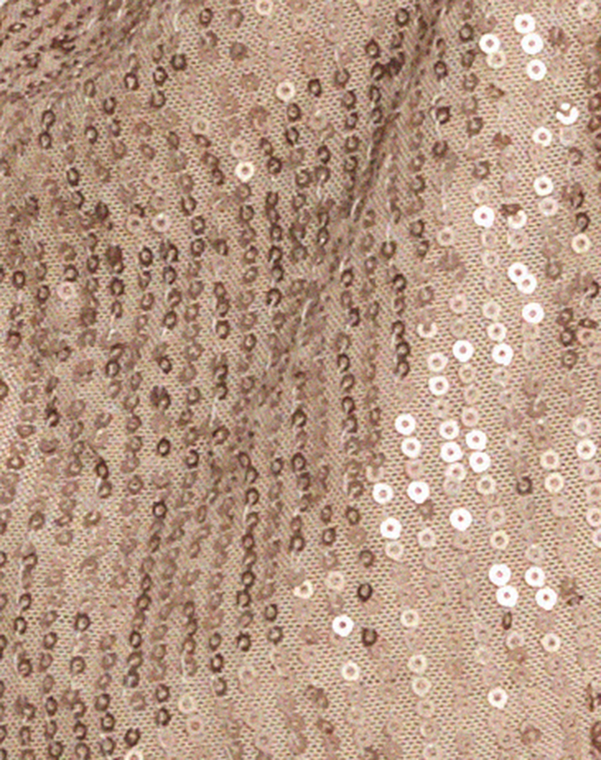 Runi Butterfly Top in Sequin Light Bronze