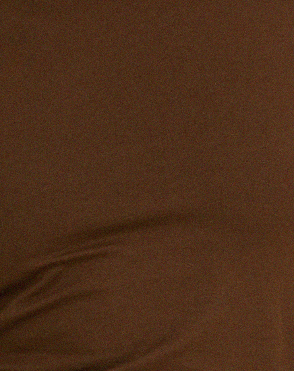 Surtie Crop Top in Cocoa