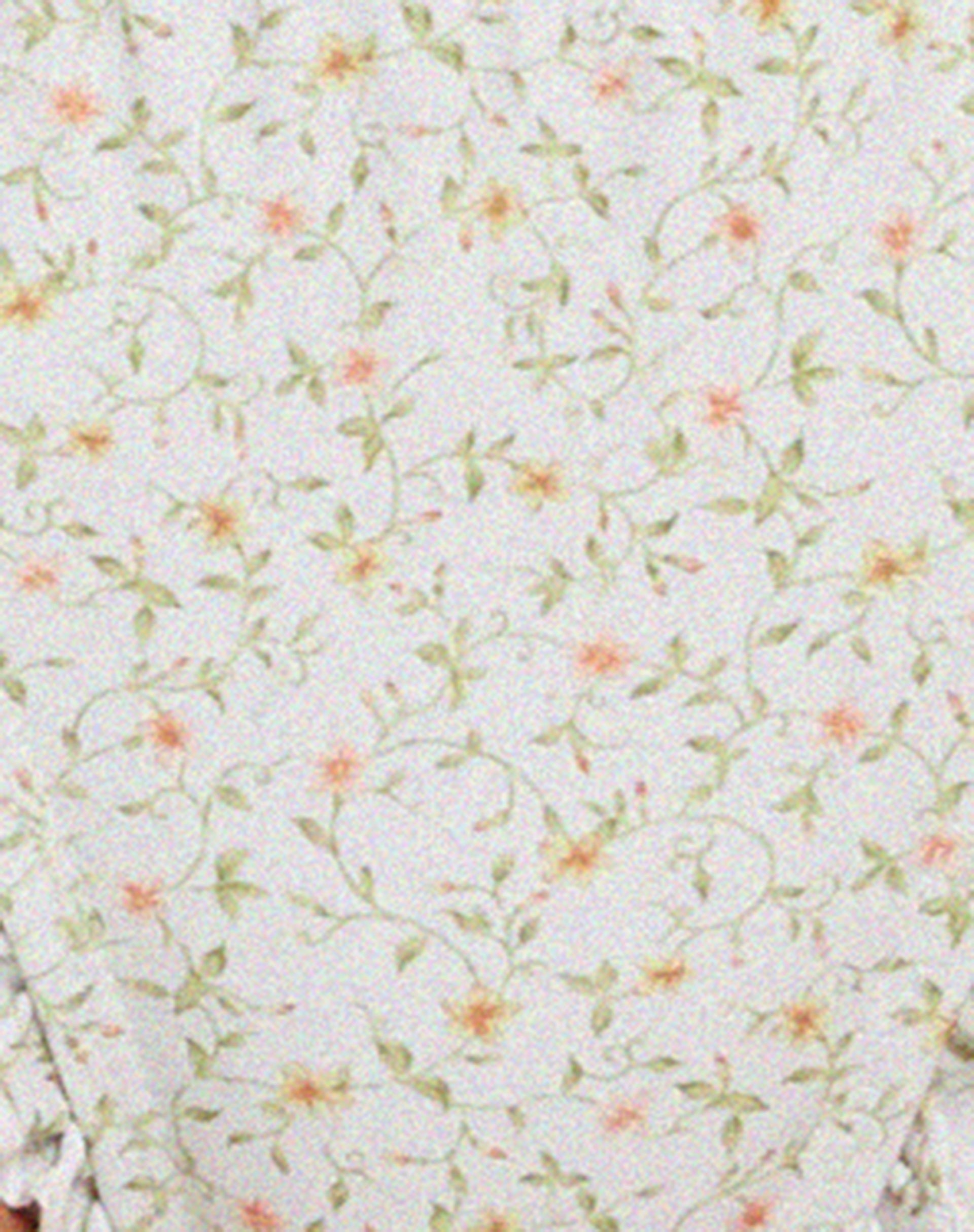 Effie Frill Bikini Bottom in Pretty Petal Ivory