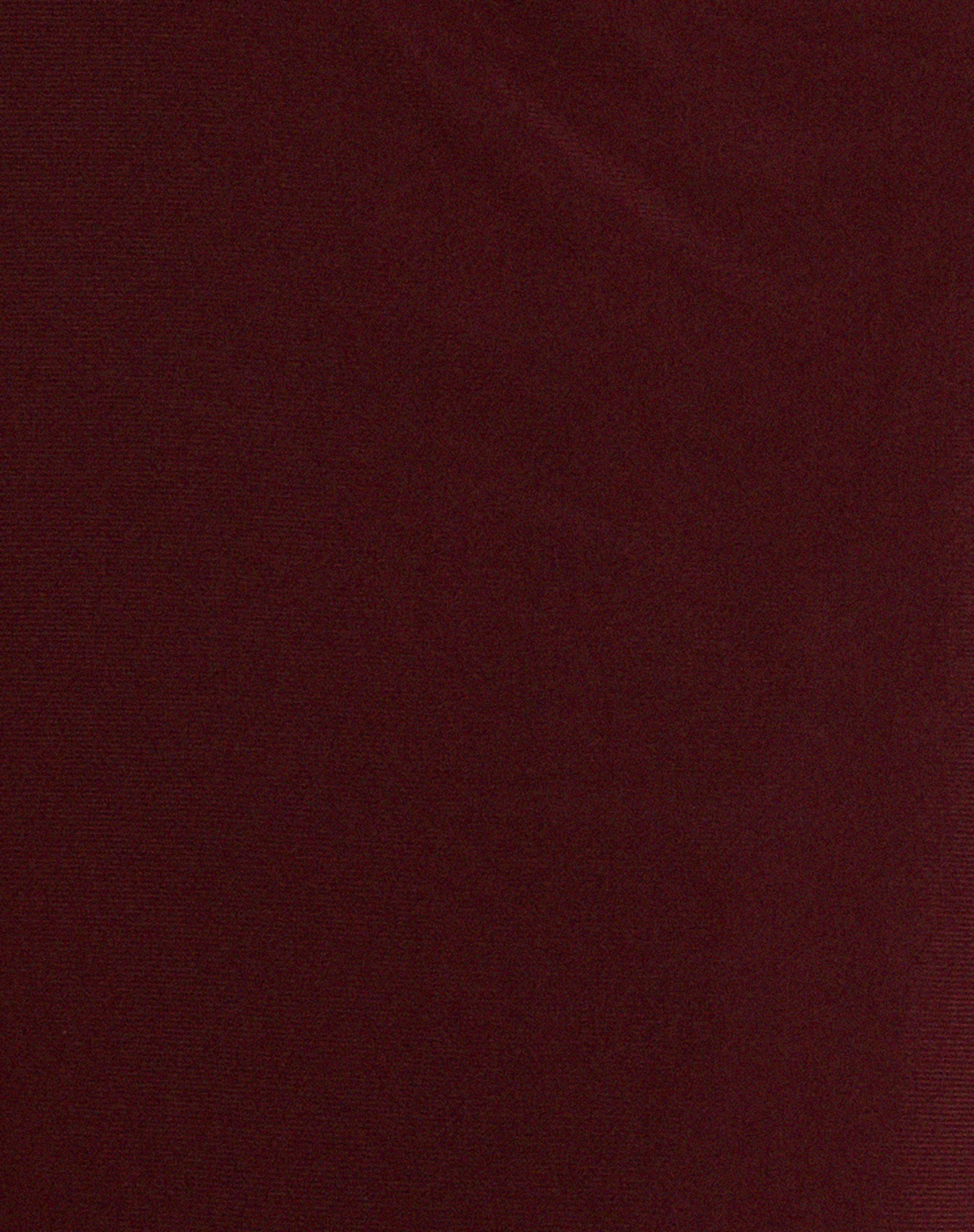 Tresha Maxi Skirt in Mesh Burgundy