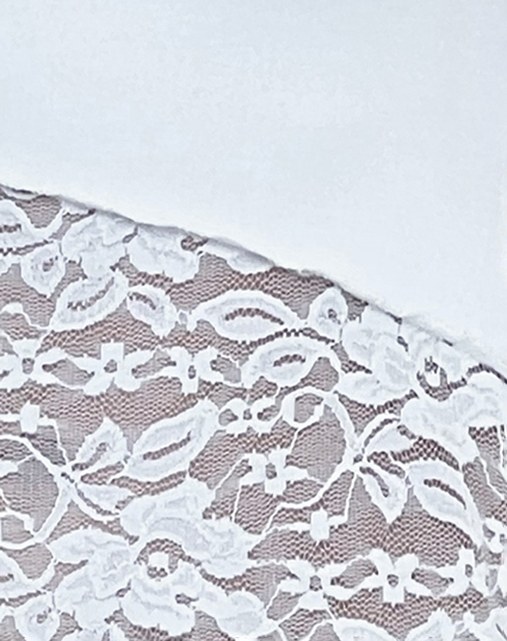 Shanda Bandeau Top in White Lace