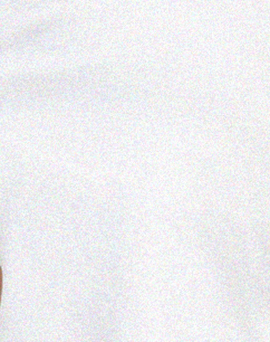 Shima Crop Top in White