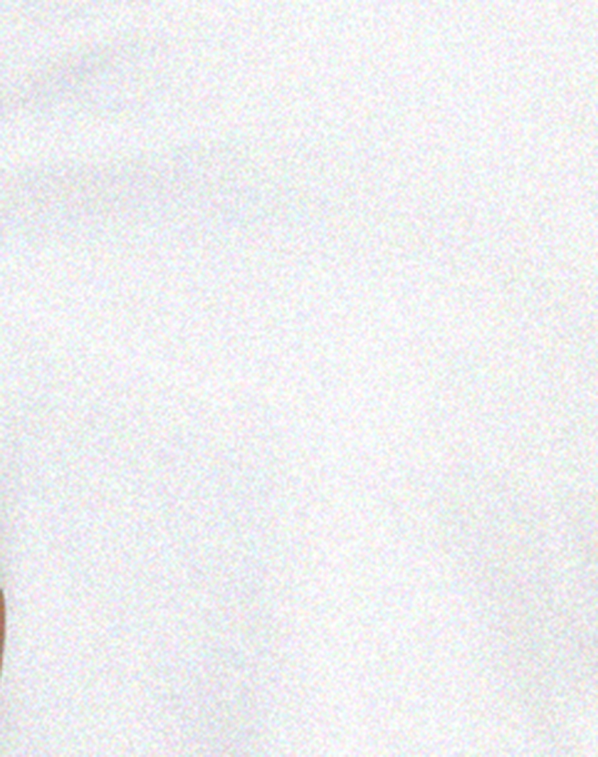 Shima Crop Top in White