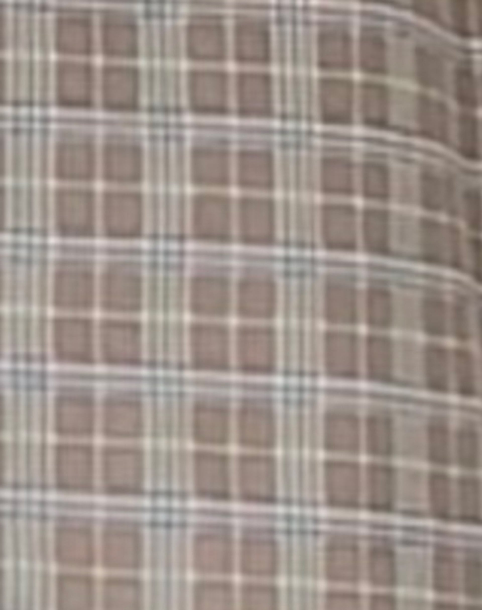 Smith Short Sleeve Shirt in Taupe Check