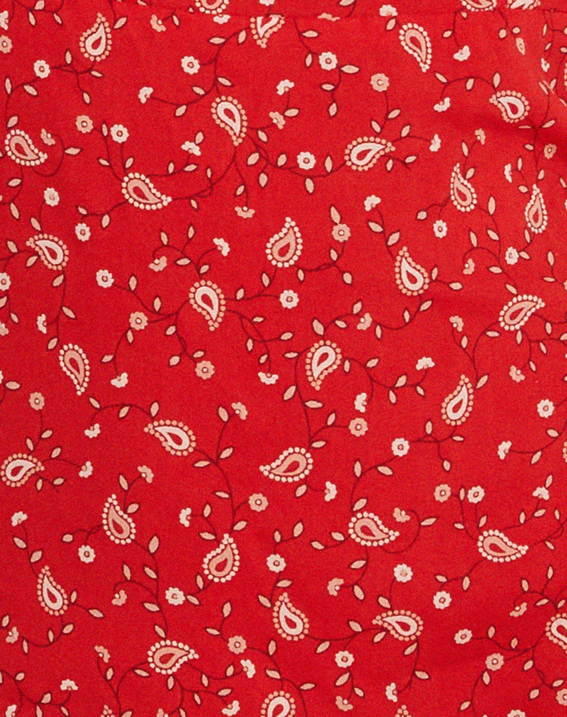 Stoira Mini Dress in Paisley Fun Red