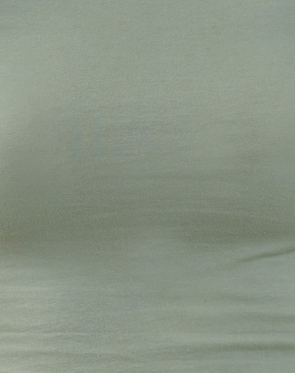 Xiwang Crop Top in Desert Sage