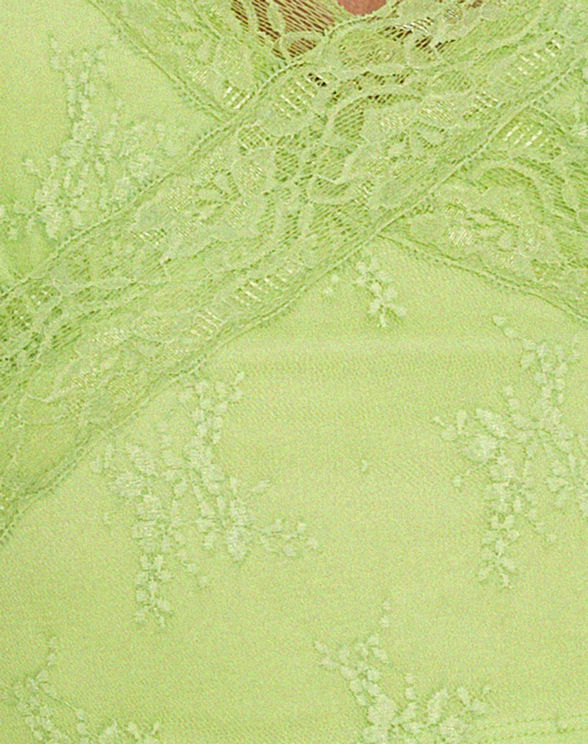 Yecaca Crop Top in Lace Lime